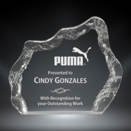 Order Now! 7" Iceberg shaped clear acrylic award. Custom laser engraved with your submitted text or artwork.
Free Shipping! No Sales Tax Ever!